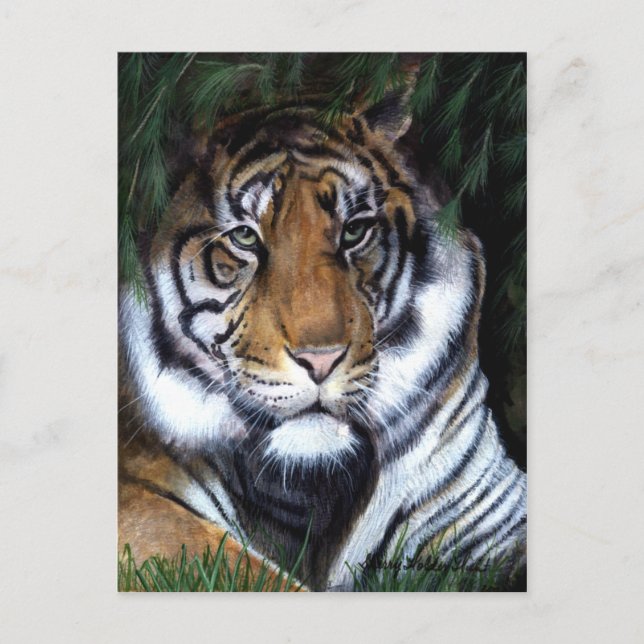 Carte postale Tiger Peinture (Devant)