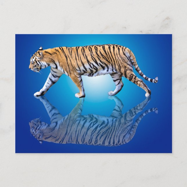 CARTE POSTALE TIGER REFLÉTÉ (Devant)