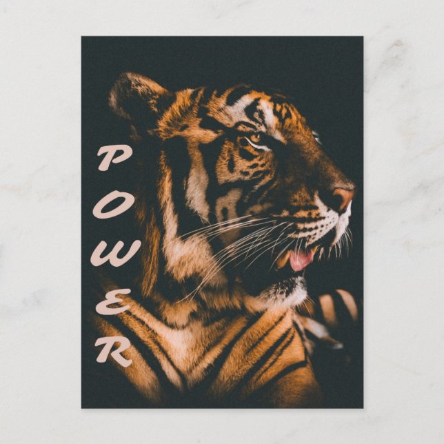 Carte Postale Tiger - Tiger - Tiger Motivation (Devant)