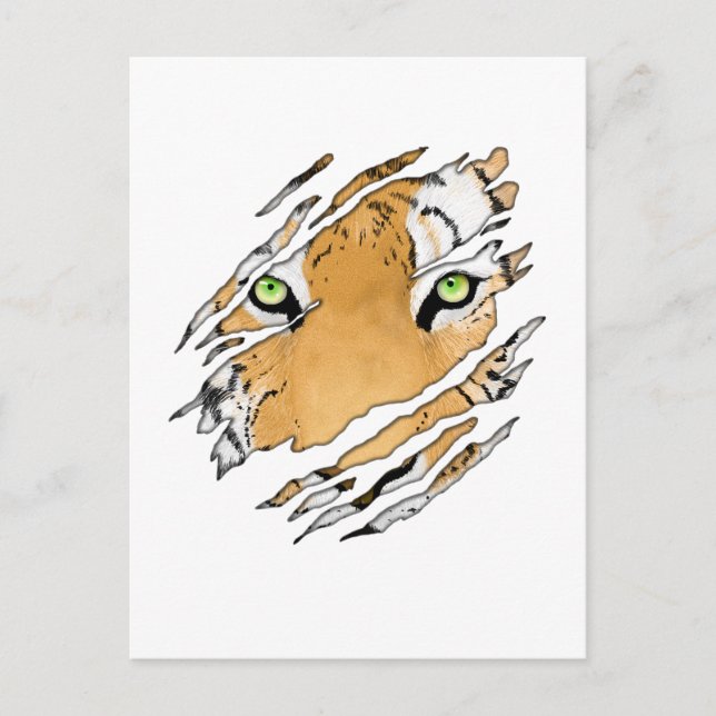 Carte Postale Tiger Visage Faune Art (Devant)
