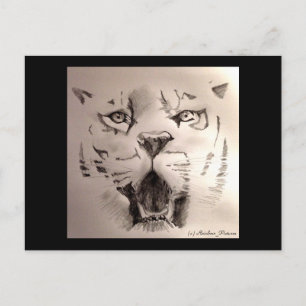 Carte Postale Tigre