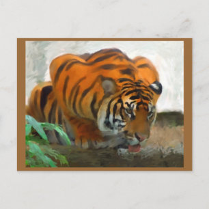 Carte postale Tigre