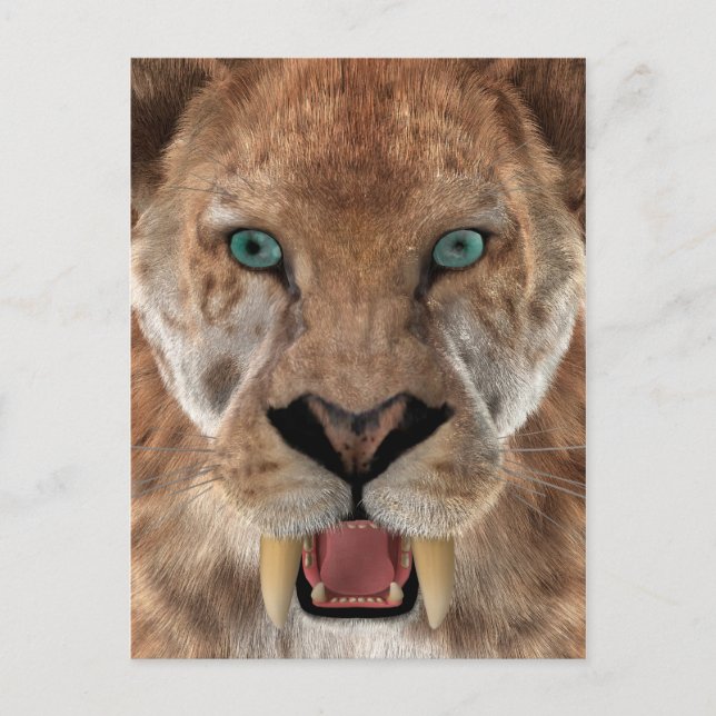 Carte Postale Tigre à dents de sabre ou Smilodon (Devant)