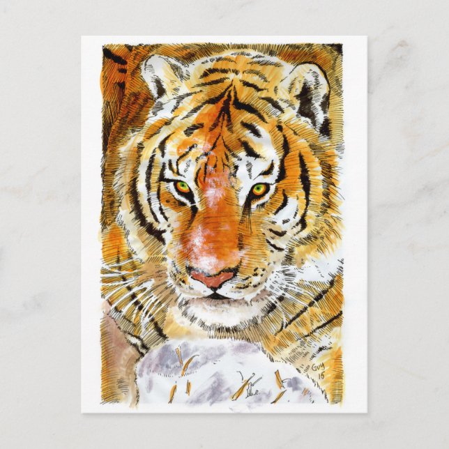 Carte postale Tigre à neige (Devant)