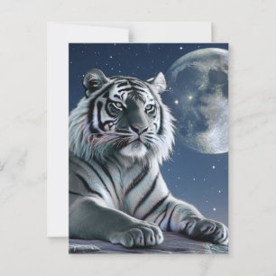 Carte Postale Tigre blanc