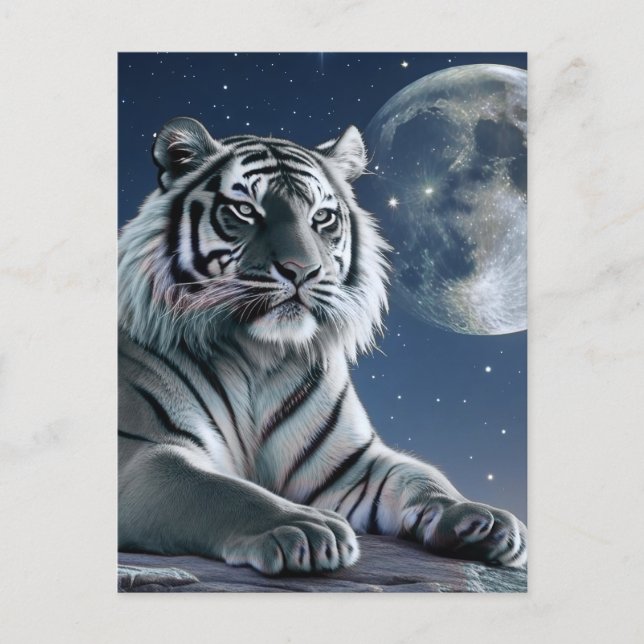 Carte Postale Tigre blanc (Devant)