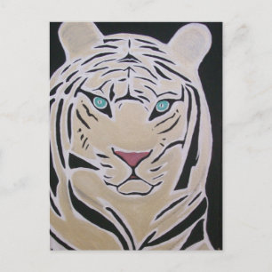 CARTE POSTALE TIGRE BLANC 2