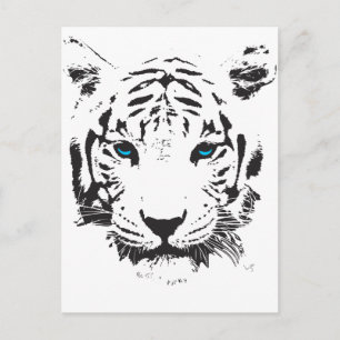 Carte Postale Tigre blanc aux yeux bleus