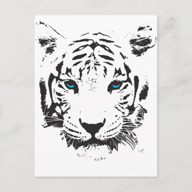 Carte Postale Tigre blanc aux yeux bleus (Devant)