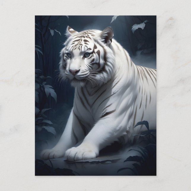 Carte Postale tigre blanc dans la nuit (Devant)