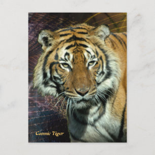 Carte postale : Tigre cosmique (Portrait)