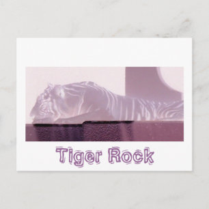 Carte Postale Tigre d'Albino