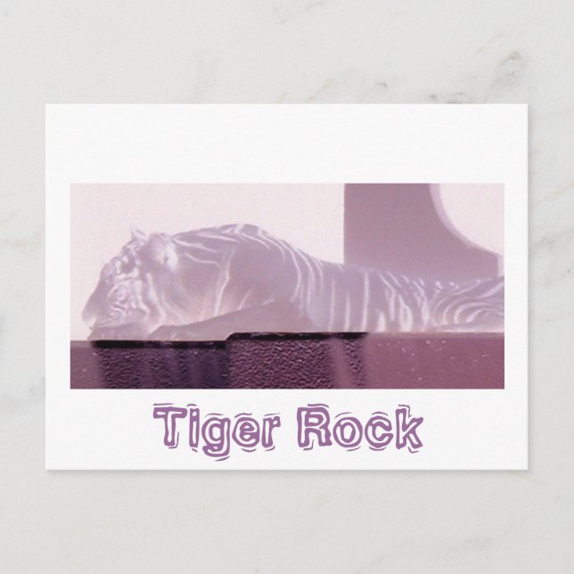 Carte Postale Tigre d'Albino (Devant)