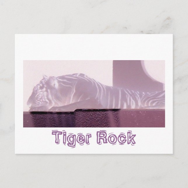 Carte Postale Tigre d'Albino (Devant)