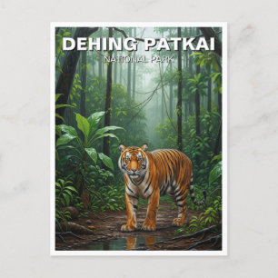 Carte Postale Tigre dans Dehing Patkai National Park Inde Travel