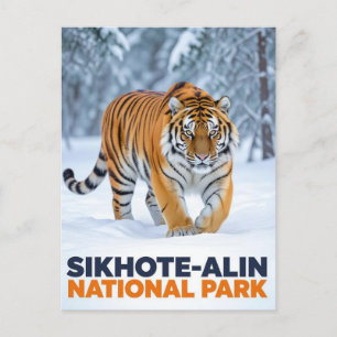 Carte Postale Tigre dans le parc national de Sikhote Alin Russie
