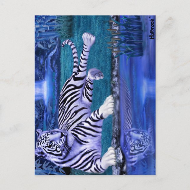CARTE POSTALE TIGRE DE LA JUNGLE.JPEG (Devant)