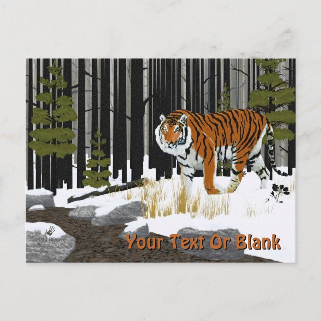 Carte Postale Tigre de Sibérie (Devant)