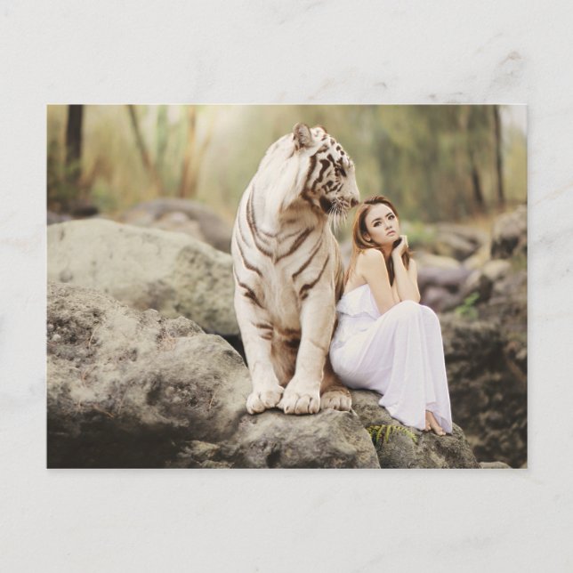 Carte Postale Tigre et dame du Bengale (Devant)