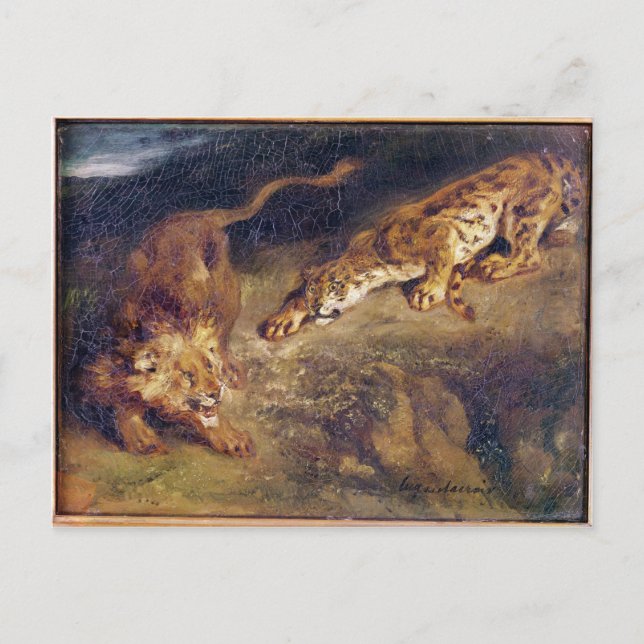 Carte Postale Tigre et Lion (Devant)