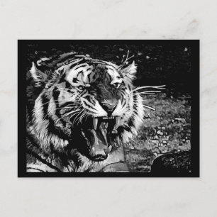 CARTE POSTALE TIGRE HURLANT FÉROCE NOIR BLANC ANIMAUX SAUVAGES C