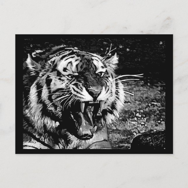 CARTE POSTALE TIGRE HURLANT FÉROCE NOIR BLANC ANIMAUX SAUVAGES C (Devant)