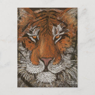 Carte Postale tigre nocturne