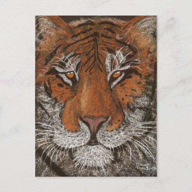 Carte Postale tigre nocturne (Devant)