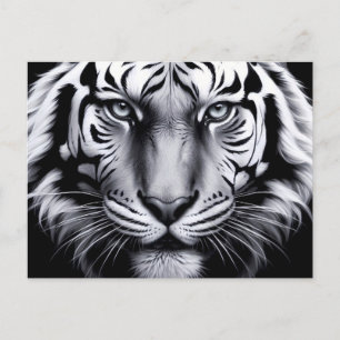 Carte Postale tigre noir et blanc (mise à jour)