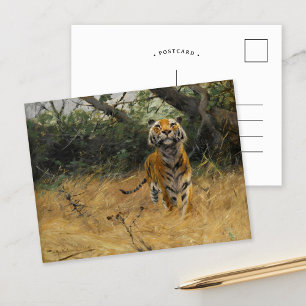 Carte Postale Tigre sur la montre   Wilhelm Kuhnert