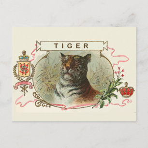 Carte Postale Tigre vintage