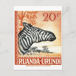 Carte Postale Timbre De Postage Ruanda Urundi Zebra 1942