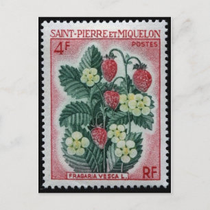 Carte postale Timbre gravé vintage
