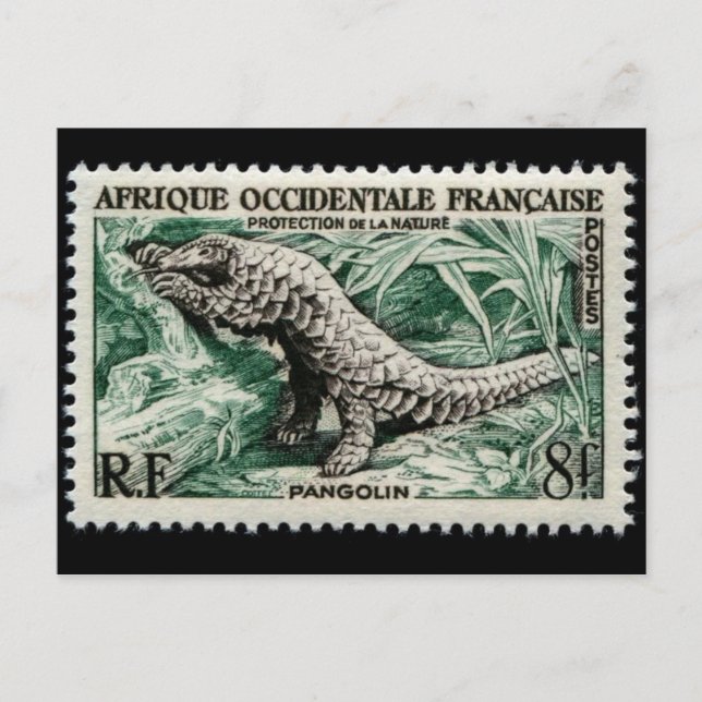 Carte postale Timbre gravé vintage (Devant)