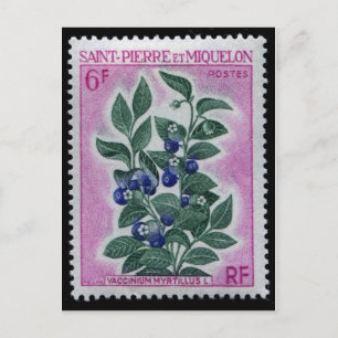 Carte postale Timbre gravé vintage