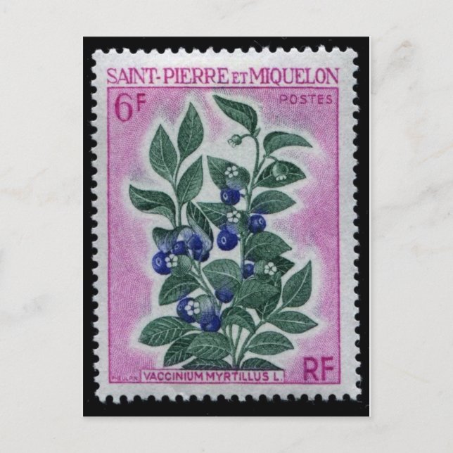 Carte postale Timbre gravé vintage (Devant)