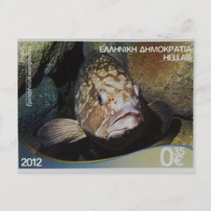 Carte Postale Timbre grec épinephelus