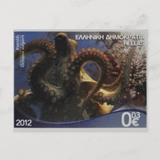 Carte Postale Timbre postal grec poulpe commun (Devant)
