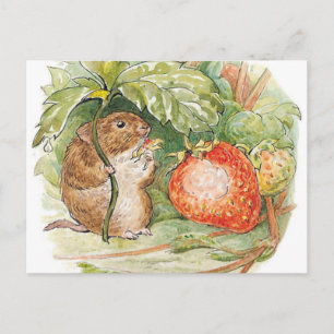 Carte Postale Timmy Willie Mouse - Beatrix Potter