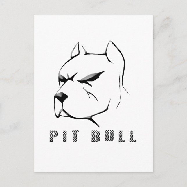 Carte Postale Tirage Pitbull (Devant)