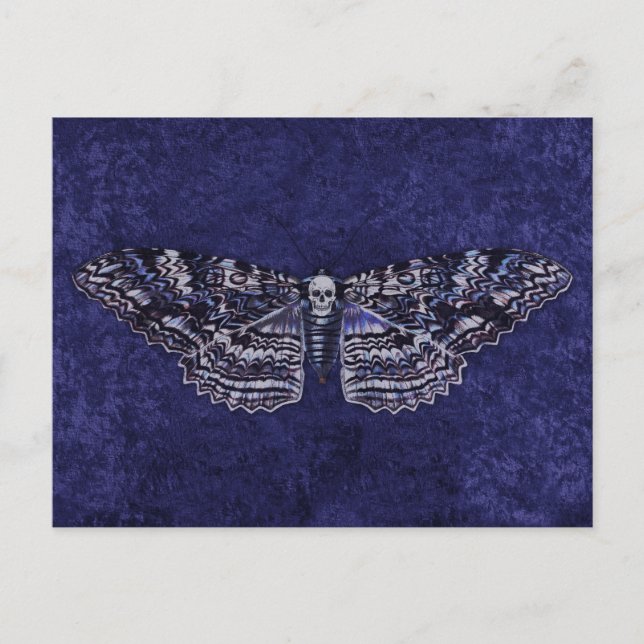 Carte Postale Tiré Moth (Devant)