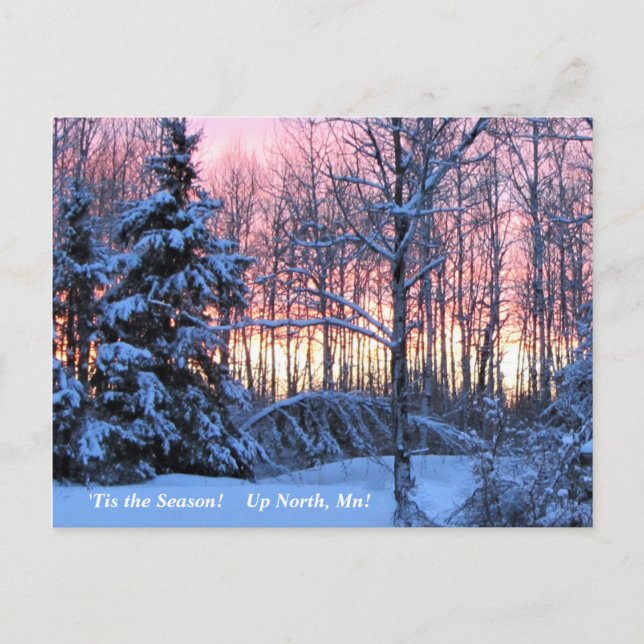 Carte Postale 'Tis Season Up North, Mn Winter Holiday (Devant)