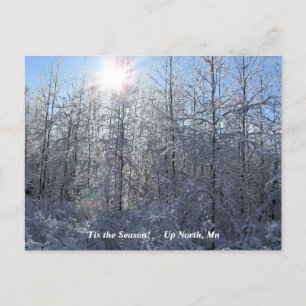 Carte Postale 'Tis Season Up North, Mn Winter Holiday