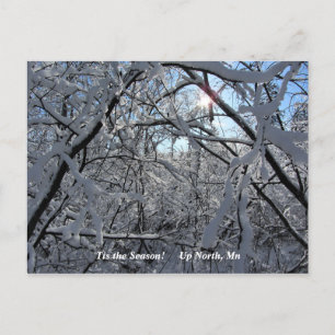 Carte Postale 'Tis Season Up North, Mn Winter Holiday
