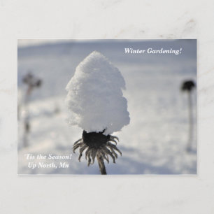 Carte Postale 'Tis Season Winter Garden Up North Holiday