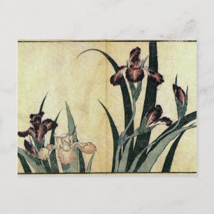 Carte Postale Tissu Ukiyo-e de Katsushika Hokusai Imprimer : Iri