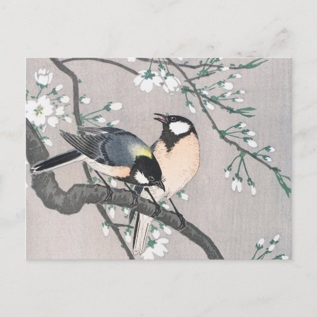 Carte Postale Tit on Cherry Branch vintage (Devant)