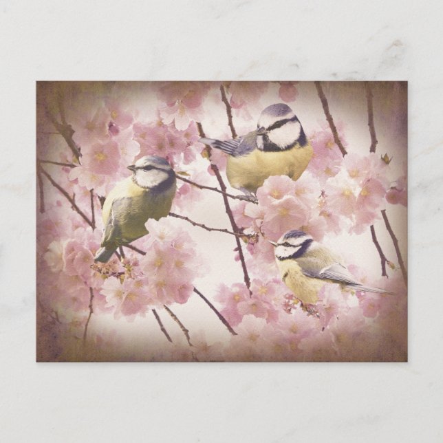 Carte Postale Tits bleus vintages (Devant)