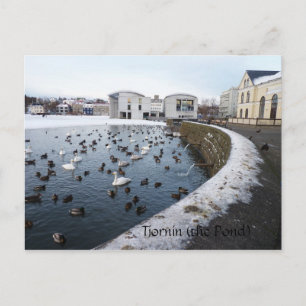 Carte Postale Tjornin (l'étang) ~ Reykjavik, Islande