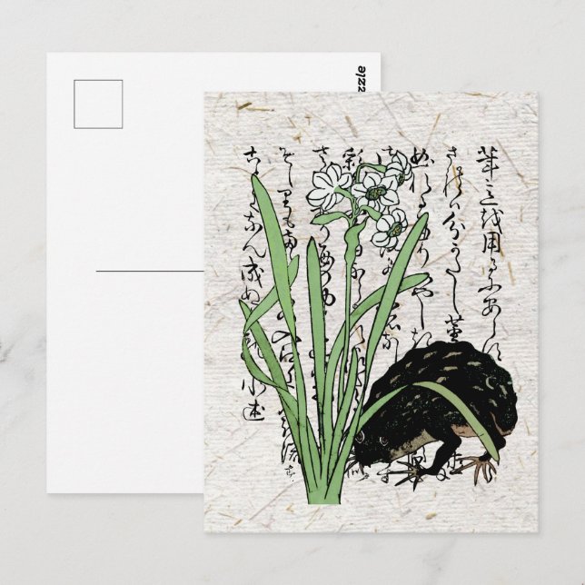 Carte Postale Toad de grenouille botanique japonaise du XVIIIe s (Devant / Derrière)